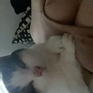 big fan của cường bot vú to