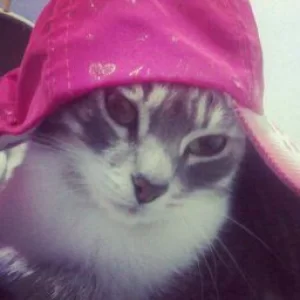 Mở nắp quan tài hôn anh lần cuối