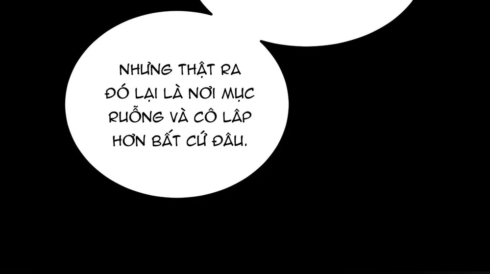 Đọc truyện (ABO) Quo Vadis, Domine? - Chapter 4