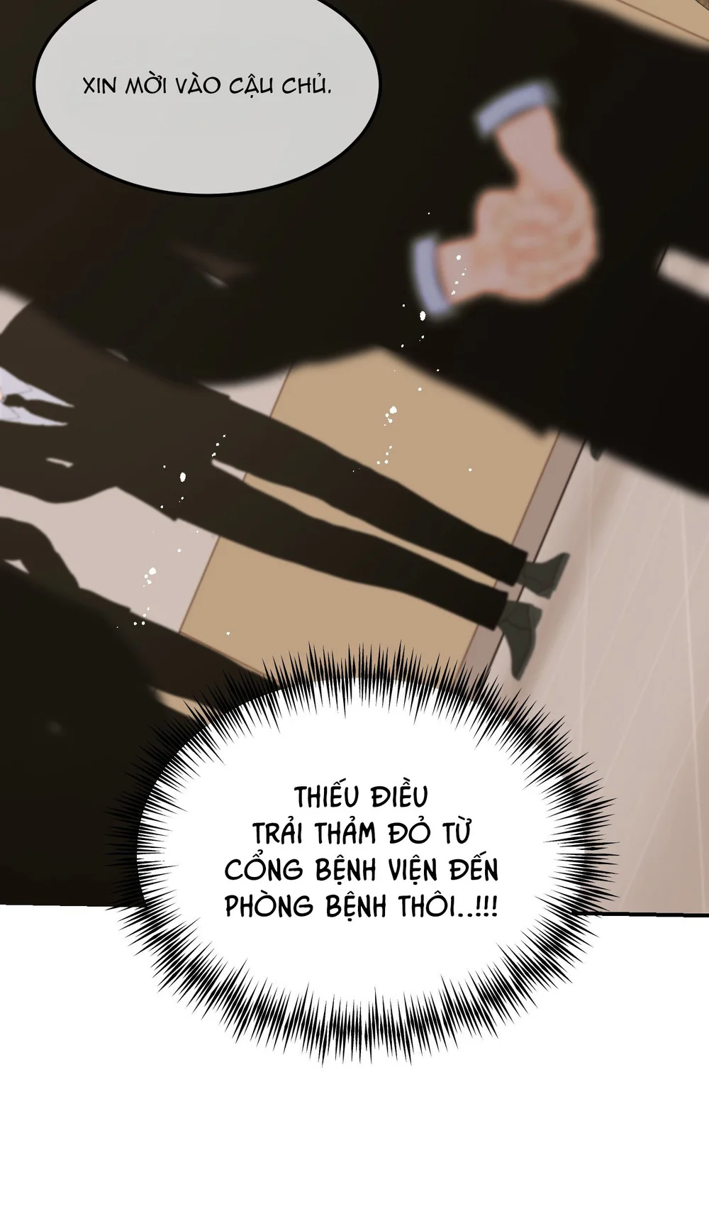 Đọc truyện (ABO) Quo Vadis, Domine? - Chapter 4