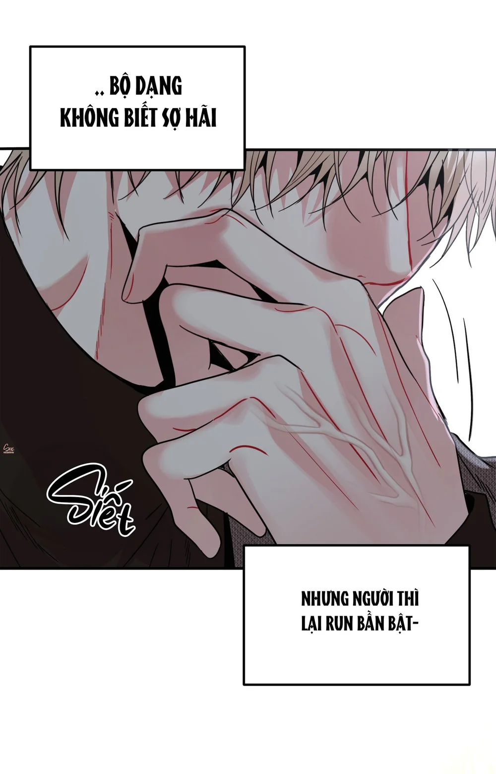 Đọc truyện (ABO) Quo Vadis, Domine? - Chapter 4