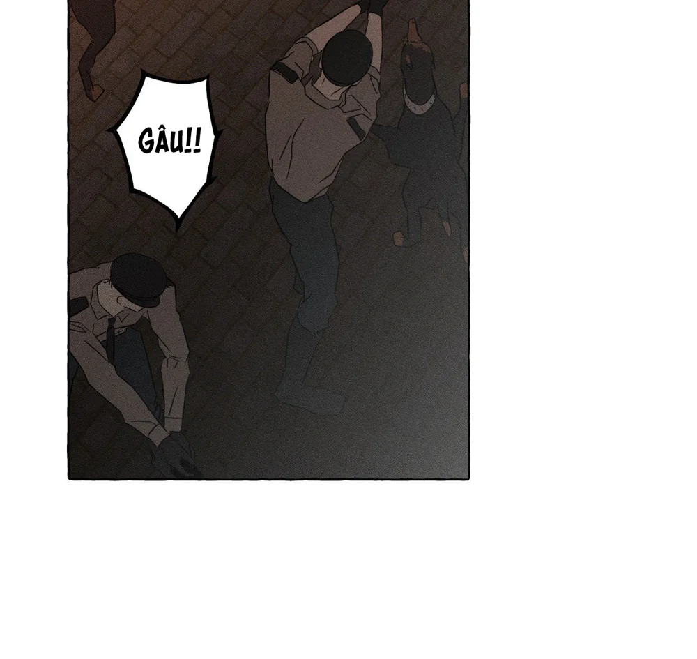 XƯƠNG VÀ CÁNH HOA - Chapter 65 - Trang 56