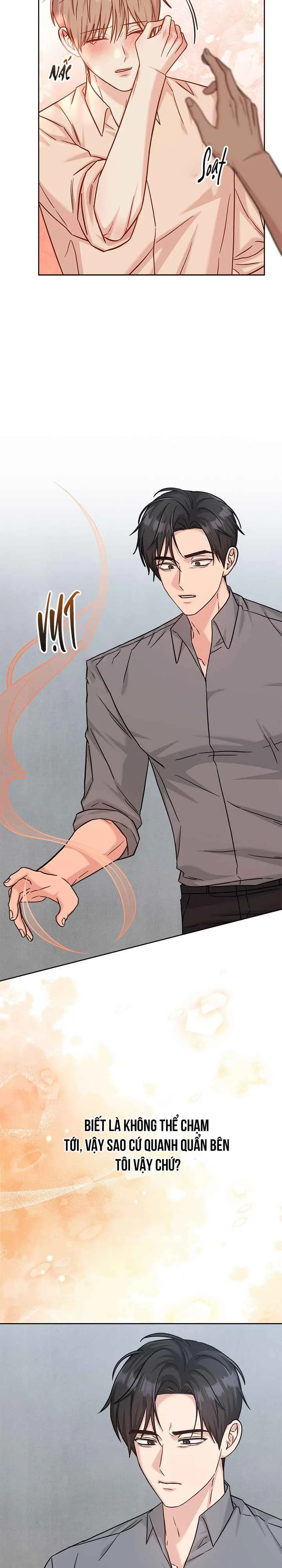 BẢN SAO ÂM HƯỞNG - Chapter 80 - Trang 11