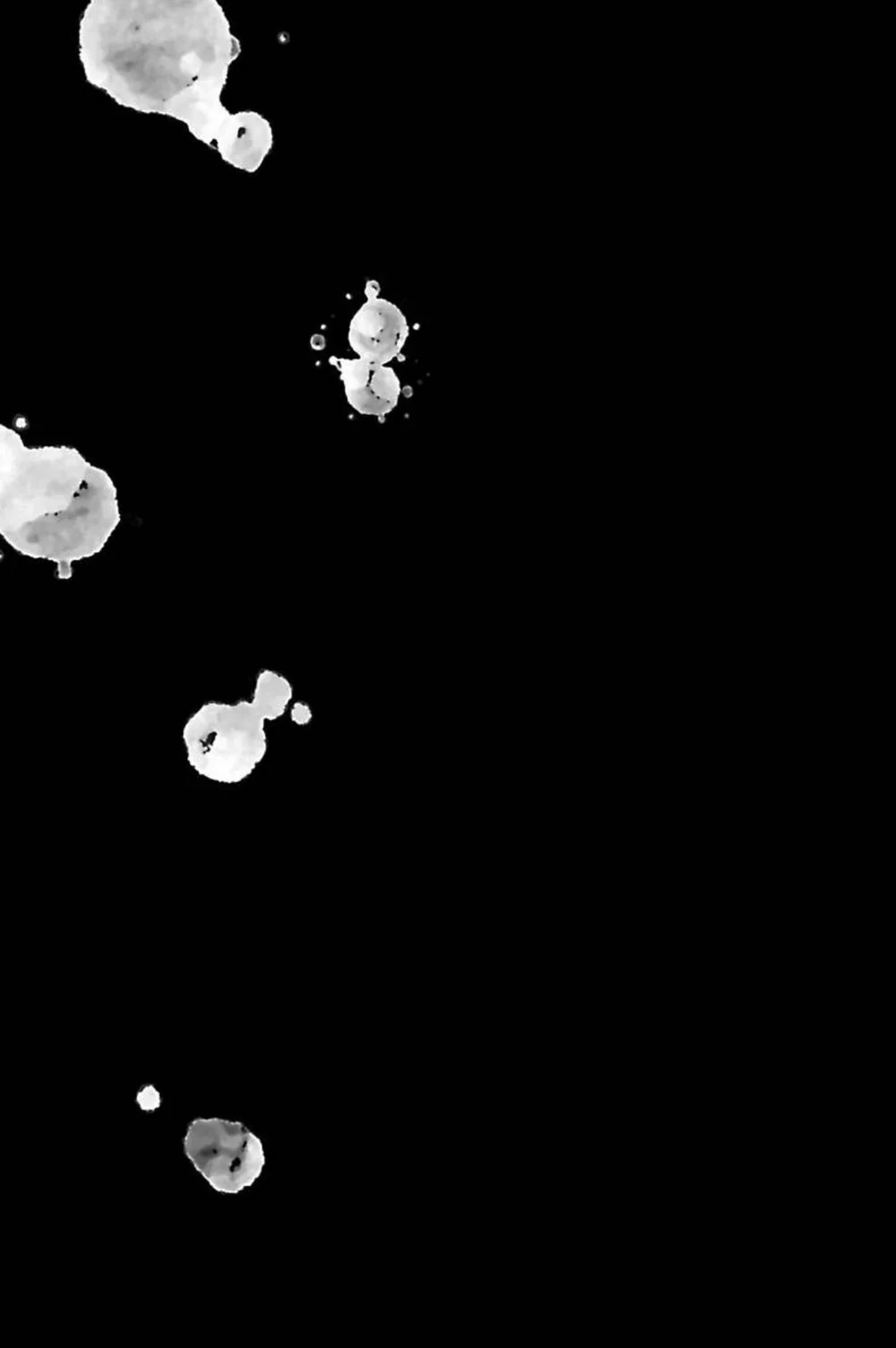 Đọc truyện Vết Cắn Và Ánh Huỳnh Thạch - Chapter 6