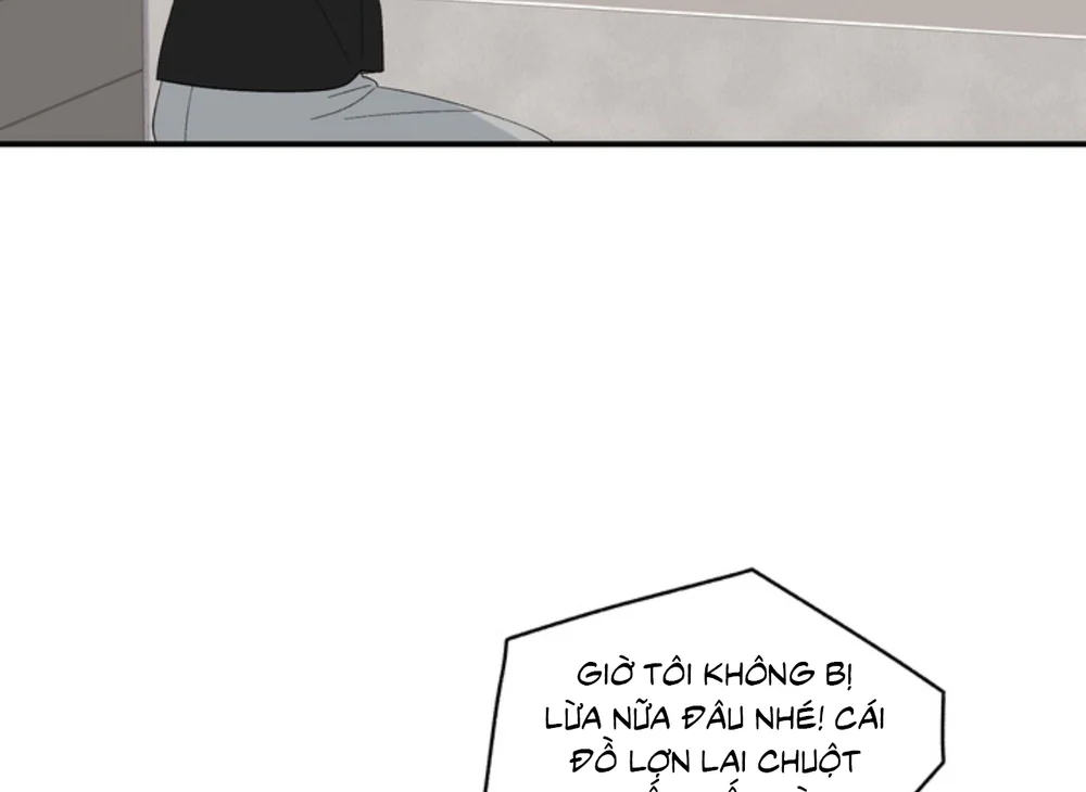 Đọc truyện XIN HÃY YÊU THƯƠNG DÙ TÔI LÀ CHUỘT - Chapter 13