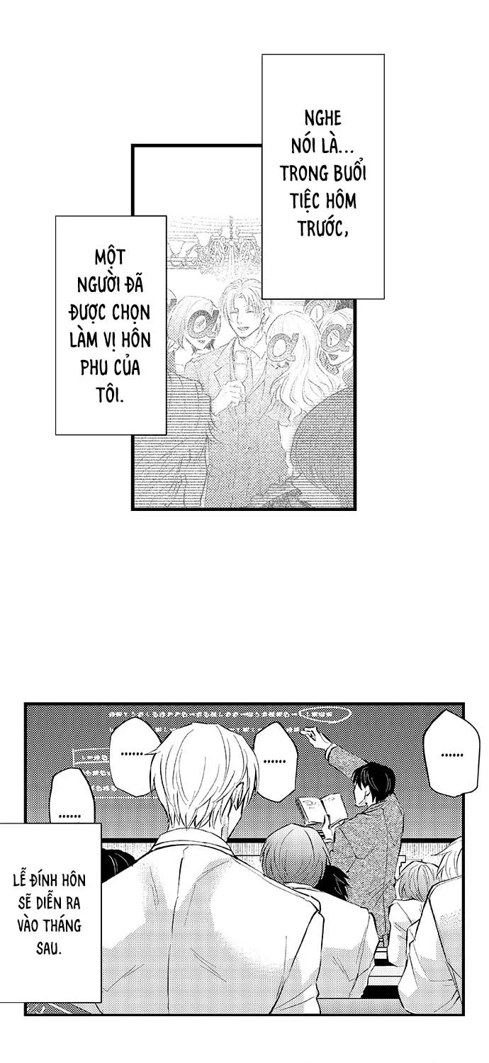 Đọc truyện Bí Mật Thầm Kín Của Ngài Quý Tộc α - Chapter 4