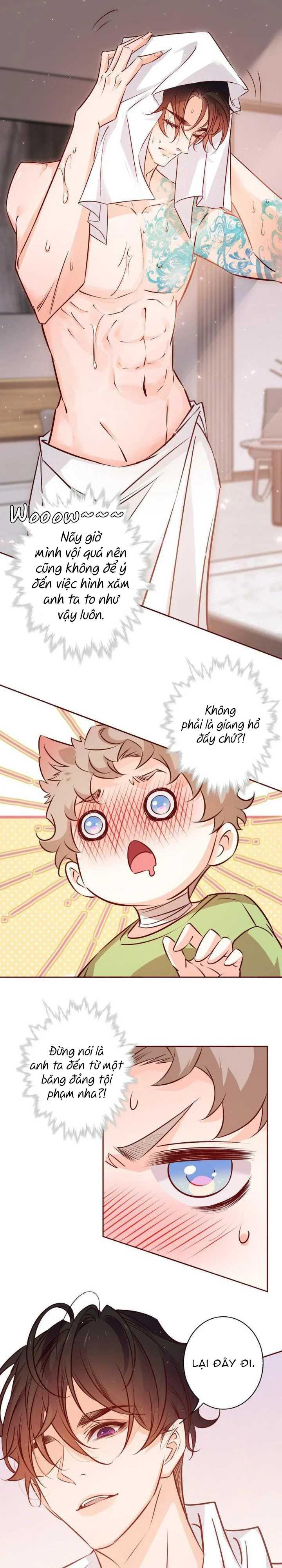 Đọc truyện Yêu Em Bất Chấp - Chapter 22