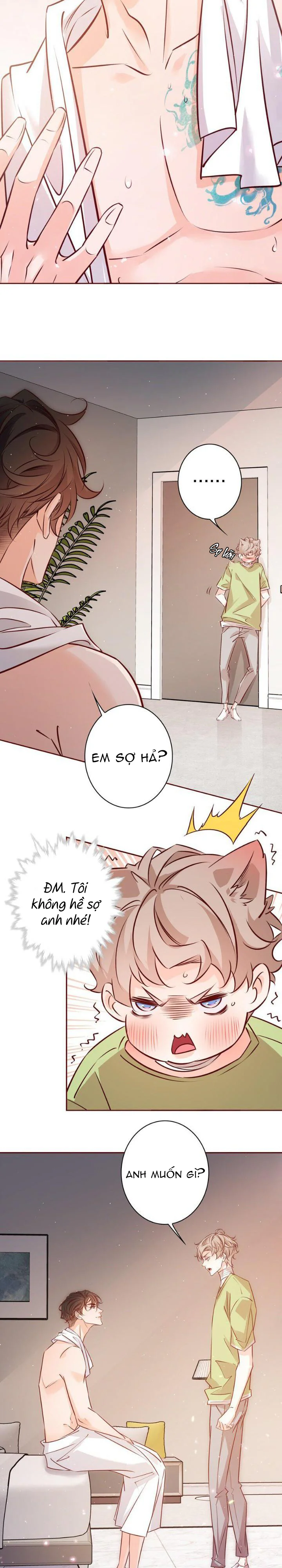 Đọc truyện Yêu Em Bất Chấp - Chapter 22