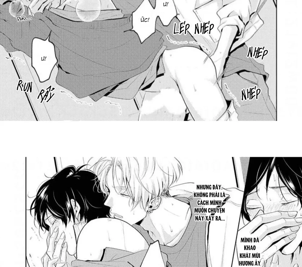 Đọc truyện Mùi Hương Khó Cưỡng - Chapter 10