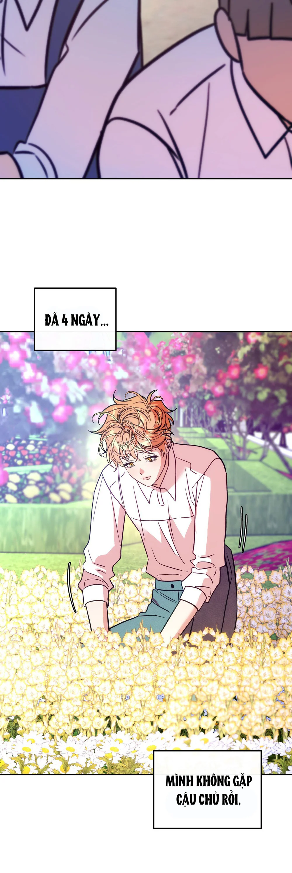 Đọc truyện ORCA MANSION - Chapter 12