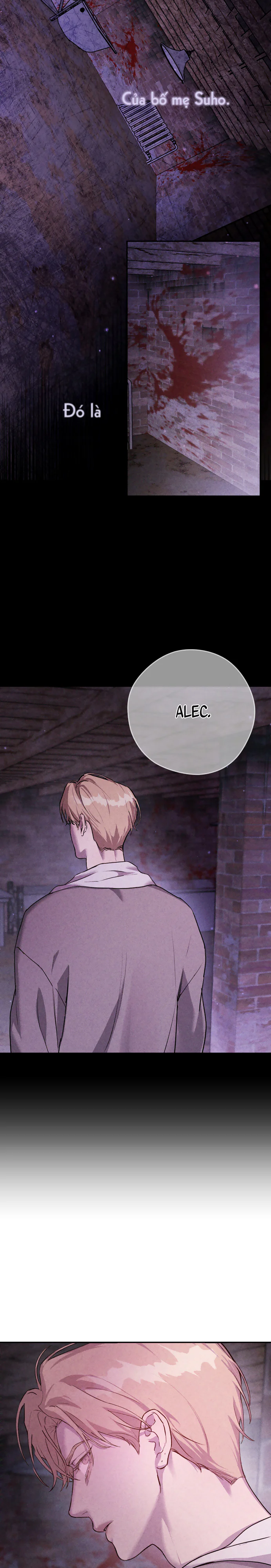 NEST - H+ - Trang 17