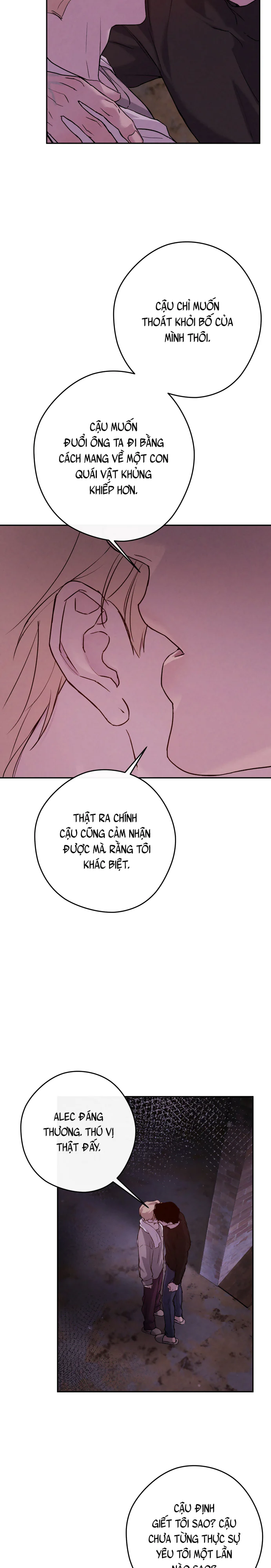 NEST - H+ - Trang 20