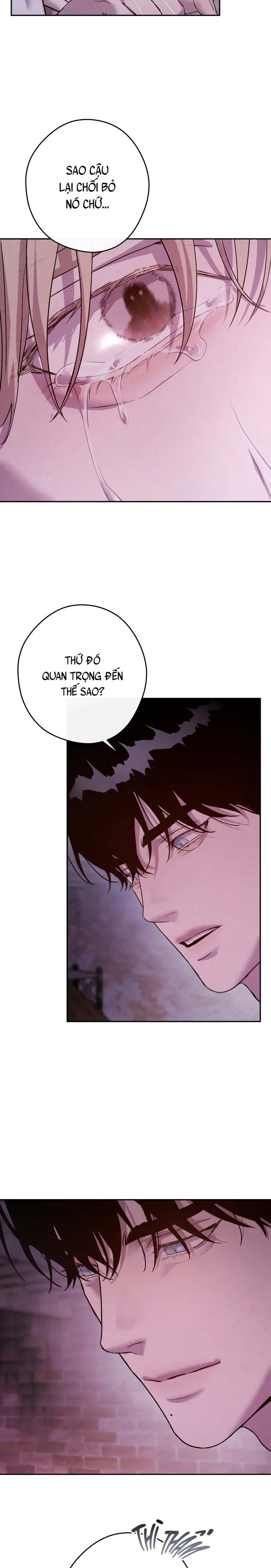 NEST - H+ - Trang 24