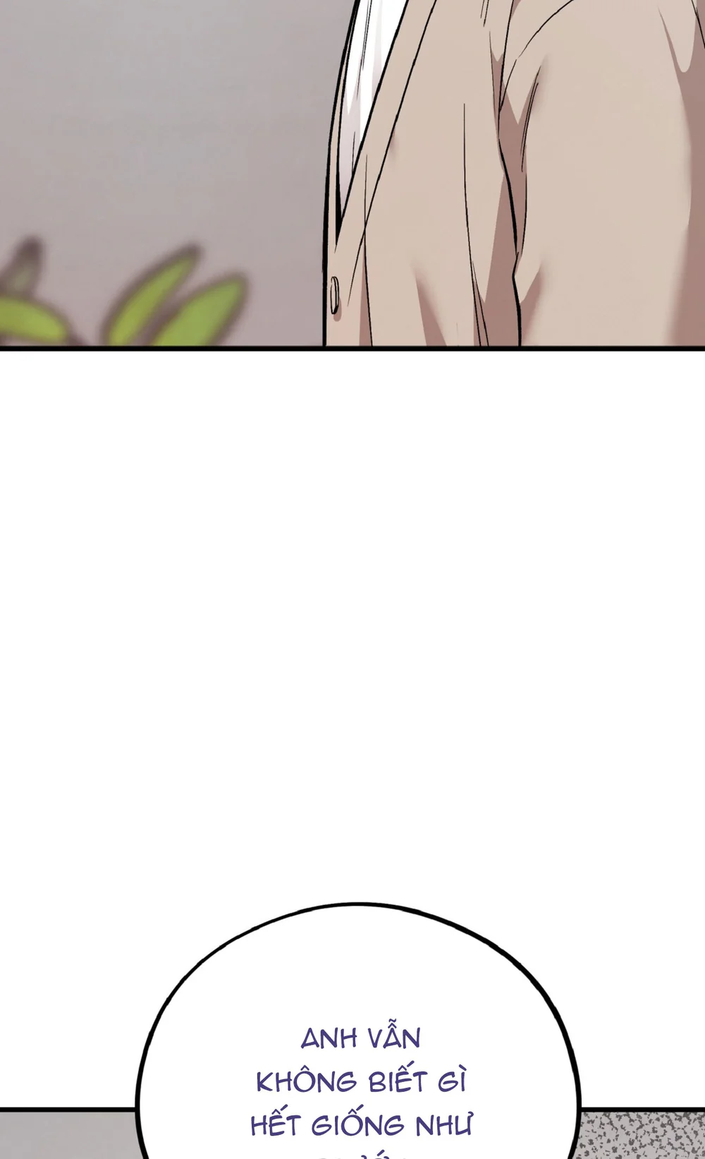 Đọc truyện HONEY BEAR - Chapter 80