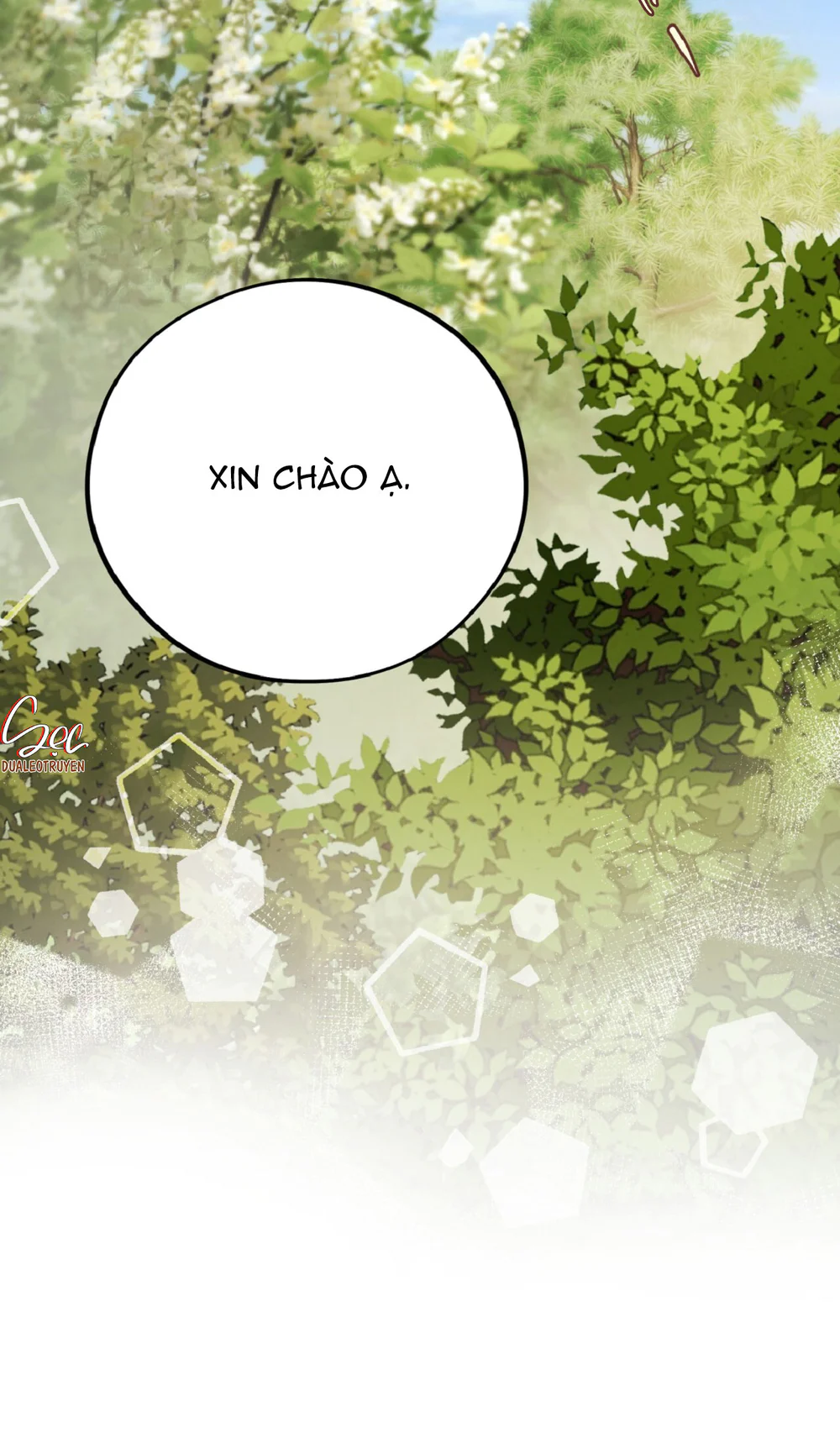 Đọc truyện HONEY BEAR - Chapter 80