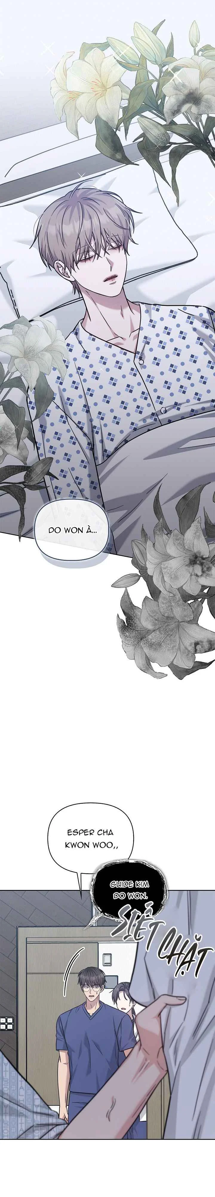 Đọc truyện BẢN SAO ÂM HƯỞNG - Chapter 81