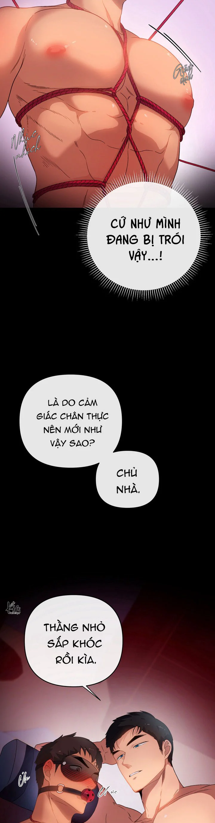 Đọc truyện TUYỂN TẬP NGỰC BỰ, CUNG KHỦ CỦA NHÀ KIM - Chapter 182.2