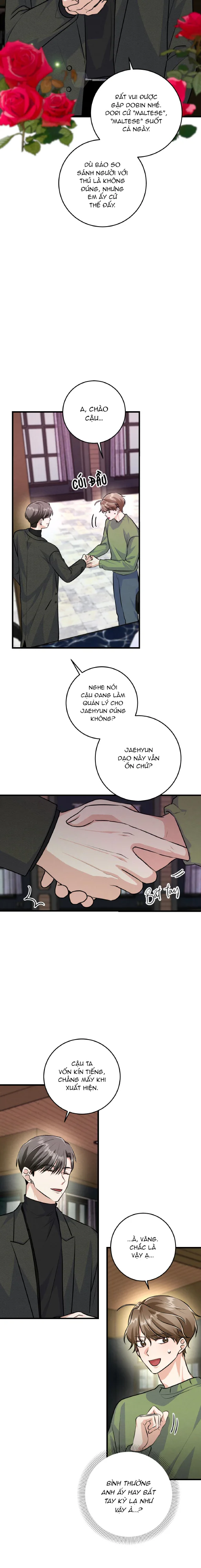 Đọc truyện Kẻ Thu Gom Rác - Chapter 16