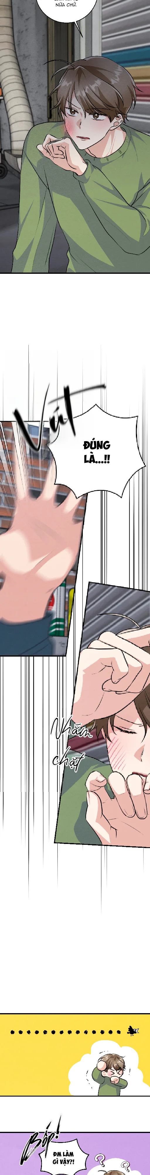 Đọc truyện Kẻ Thu Gom Rác - Chapter 16