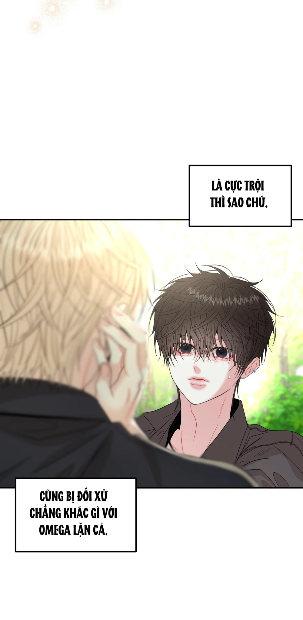 Đọc truyện (ABO) Quo Vadis, Domine? - Chapter 5