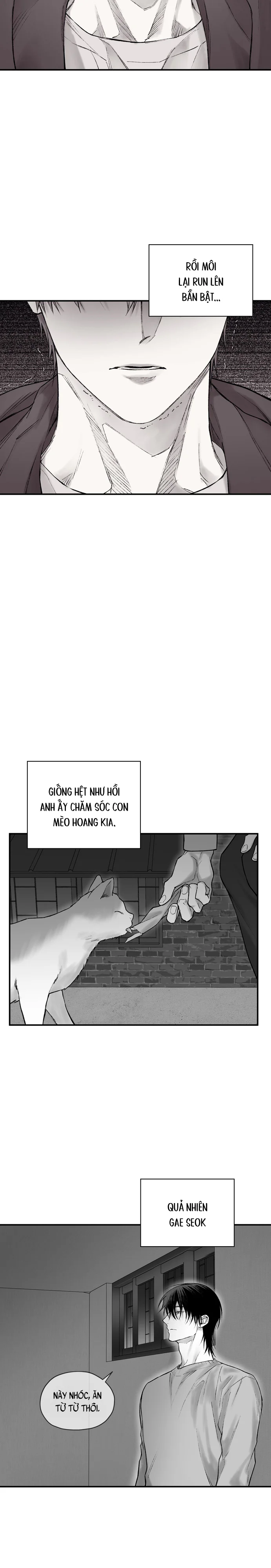 Đọc truyện Gã Đàn Ông Dưới Căn Hầm Đang Bị Giam Cầm Trong Phòng Tôi - Chapter 15