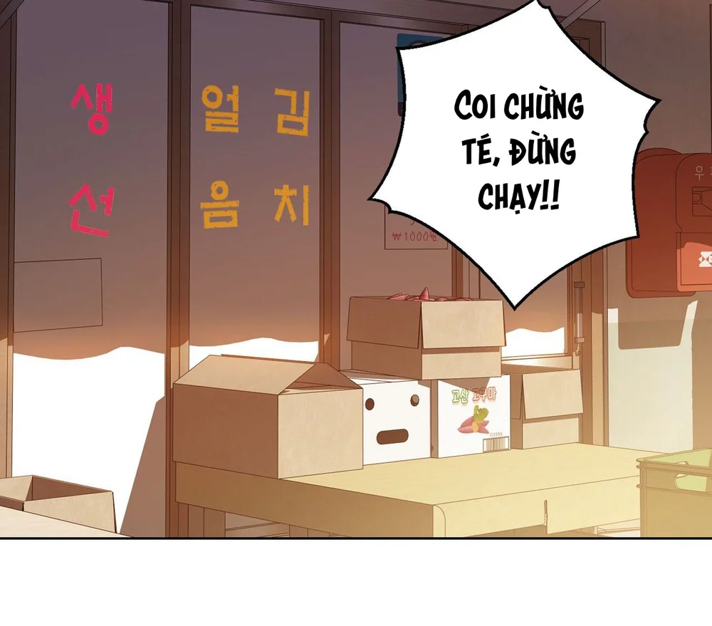 Đọc truyện Cảnh Báo Thú Săn Mồi - Chapter 2