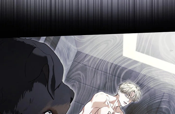 Đọc truyện (ABO) KISS ME IF YOU CAN - Chapter 35