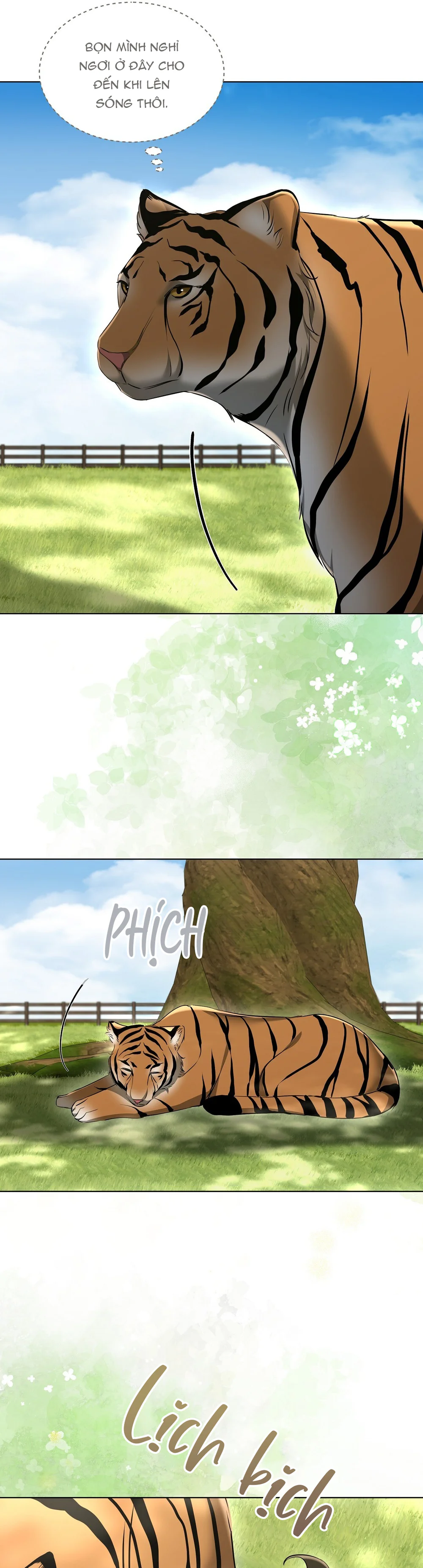 Đọc truyện LIỆU PHÁP MÈO - Chapter 12