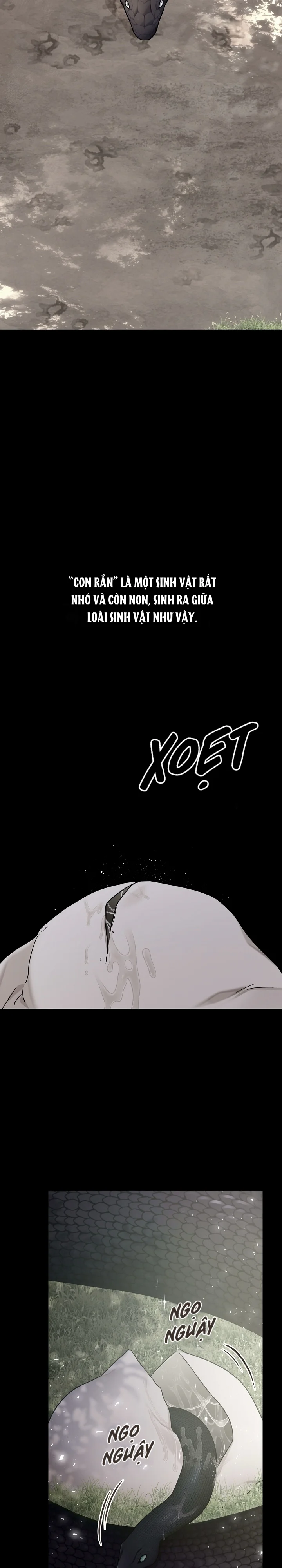 Đọc truyện Snake Hole - Chapter 15