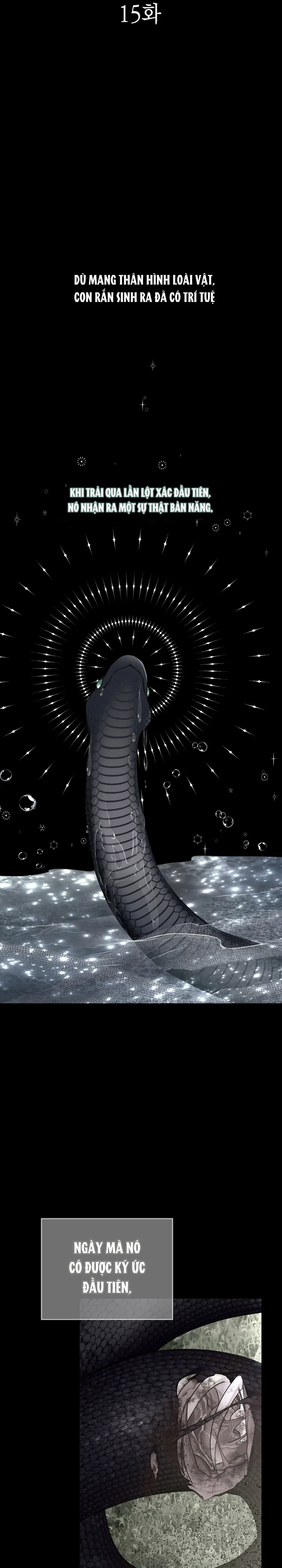 Đọc truyện Snake Hole - Chapter 15
