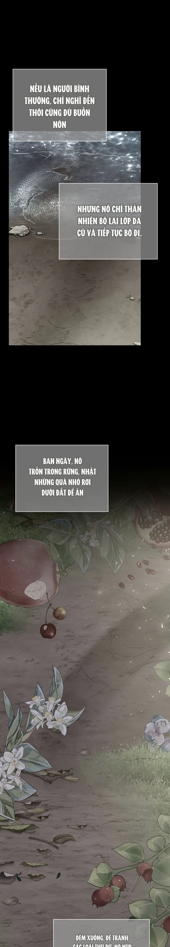 Đọc truyện Snake Hole - Chapter 15