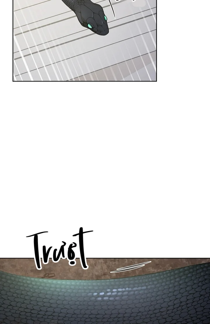 Đọc truyện Snake Hole - Chapter 15