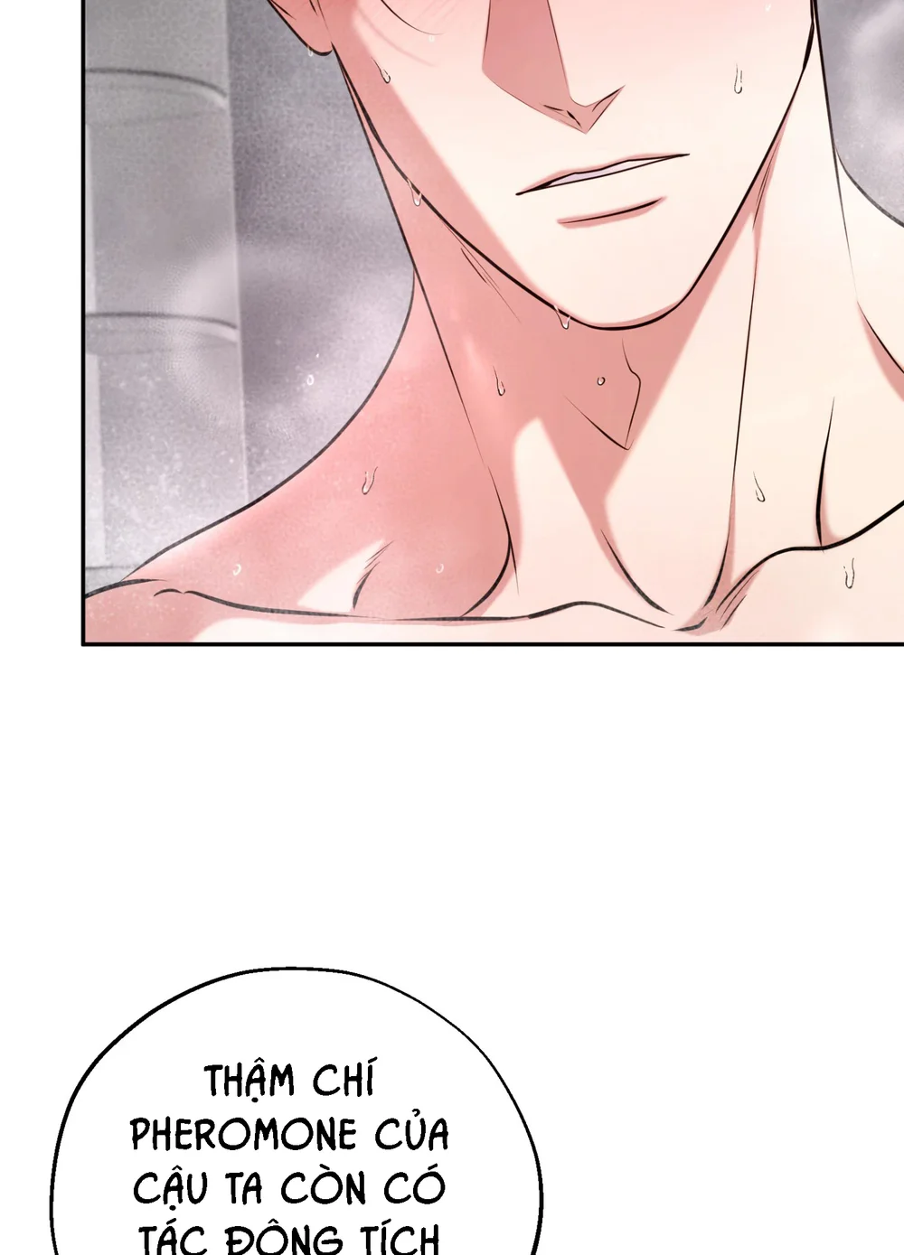 Đọc truyện DAWNING LIGHT - Chapter 13