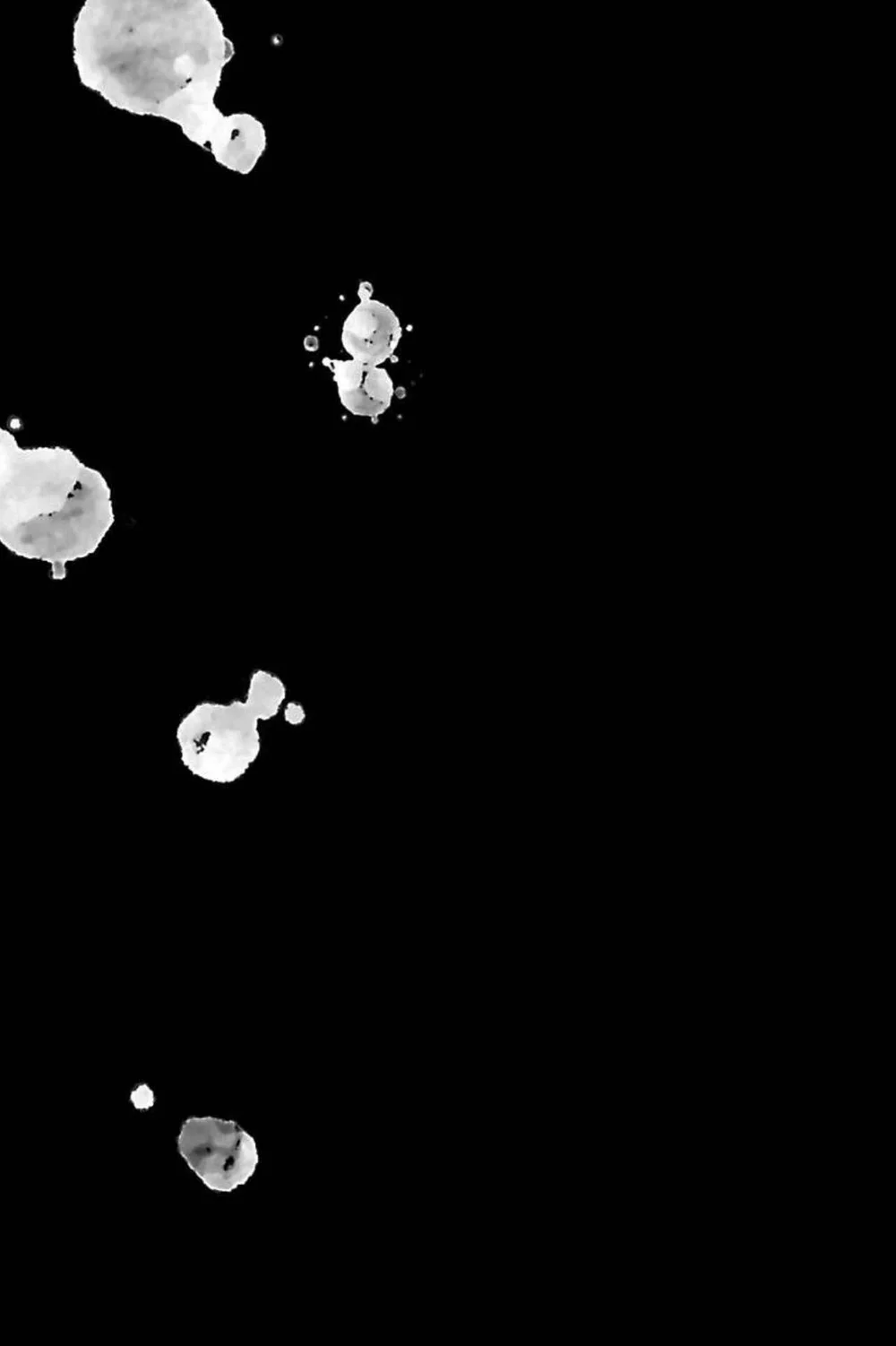 Đọc truyện Vết Cắn Và Ánh Huỳnh Thạch - Chapter 7