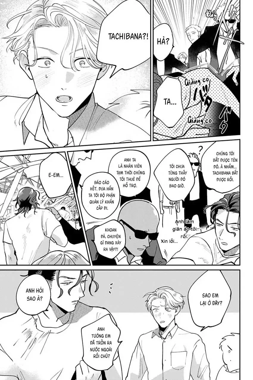 Đọc truyện Đặc vụ thân yêu của tôi - Chapter 8