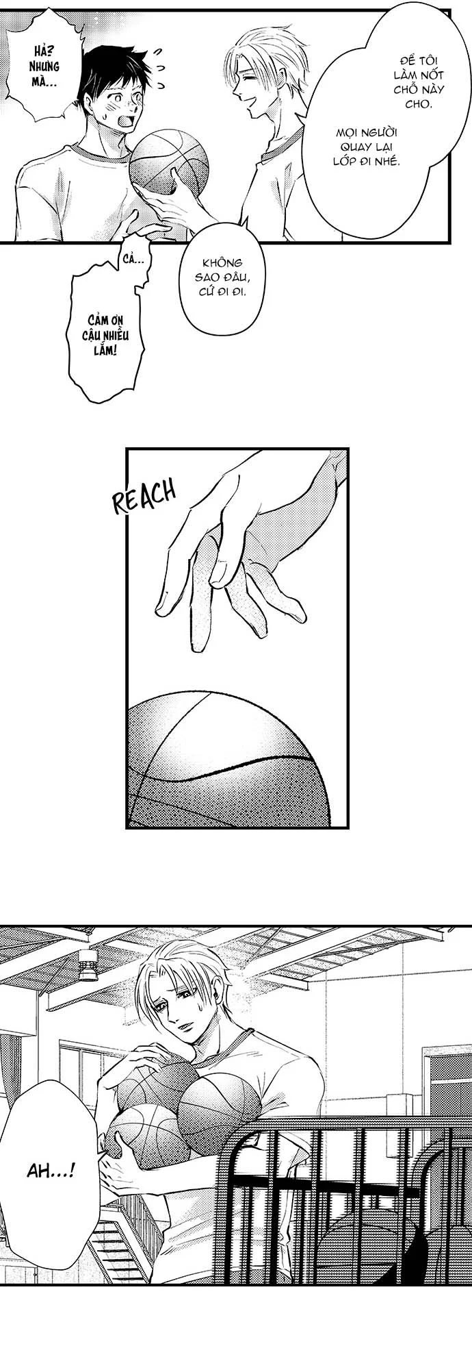 Đọc truyện Bí Mật Thầm Kín Của Ngài Quý Tộc α - Chapter 5