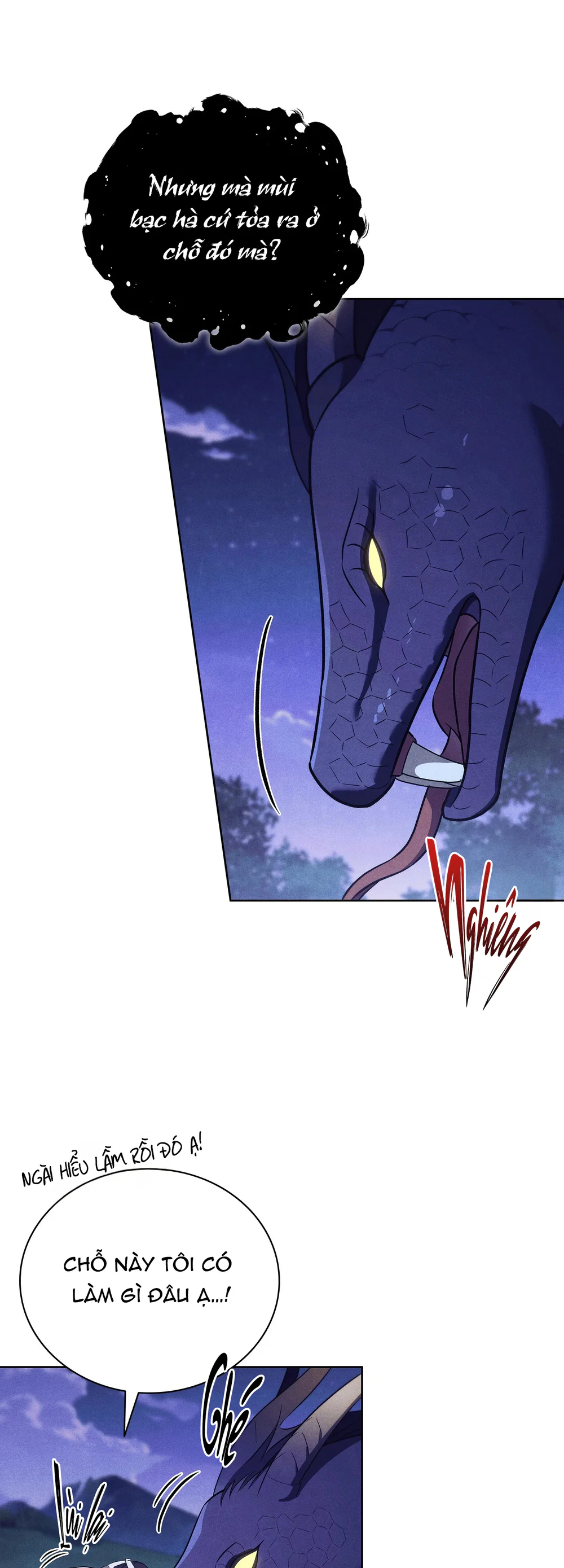 Đọc truyện MÃNG XÀ VÀ CHÀNG TIỀU PHU - Chapter 4