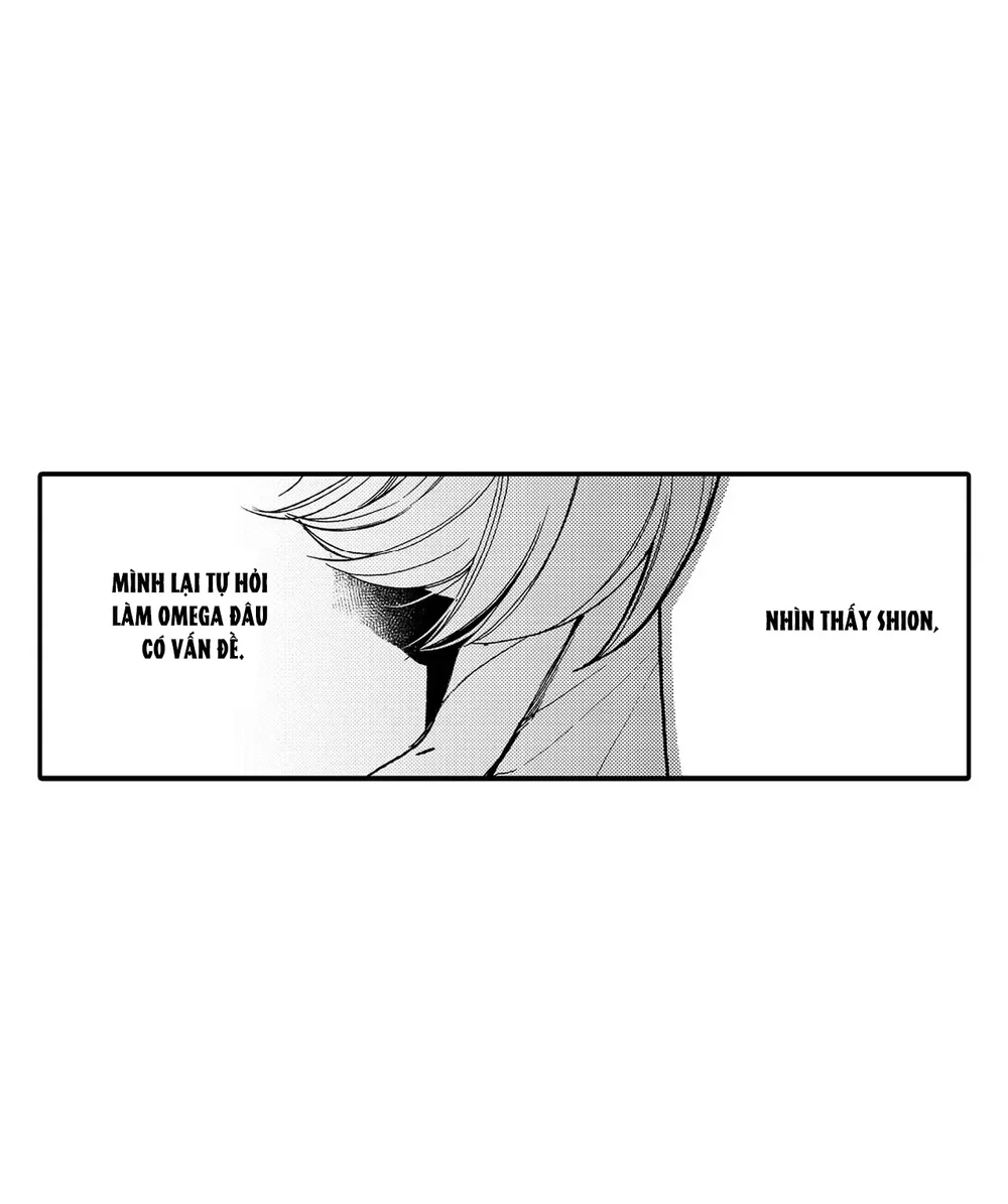 Đọc truyện Chống lại alpha - Chapter 11