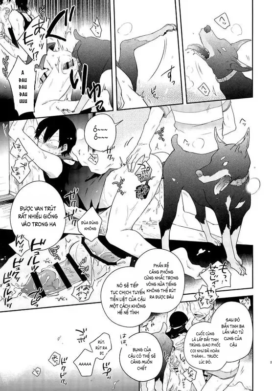 Đọc truyện Đồ Chơi Tình Thú - Chapter 25