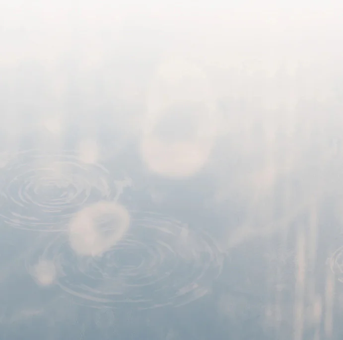 Đọc truyện Biscuit - Chapter 13