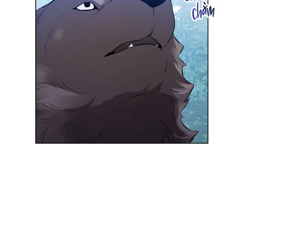 Đọc truyện Cảnh Báo Thú Săn Mồi - Chapter 5