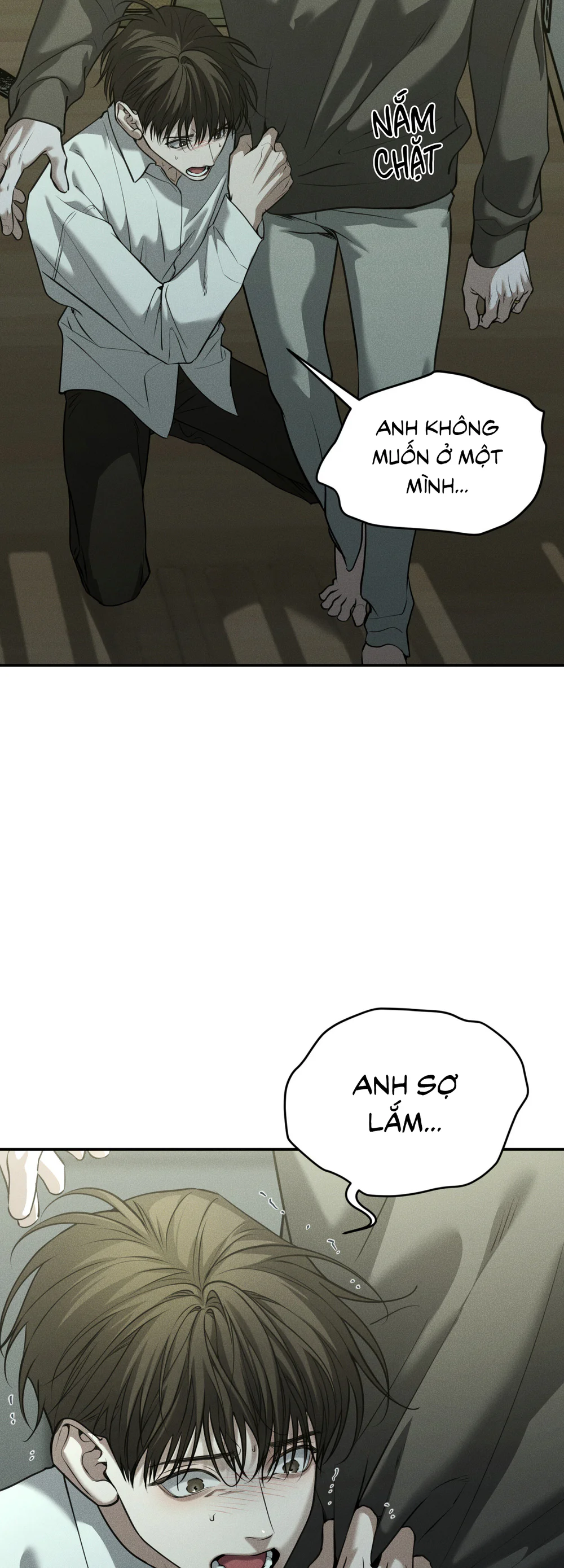 Đọc truyện DEAR, TEDDY BEAR - Chapter 52