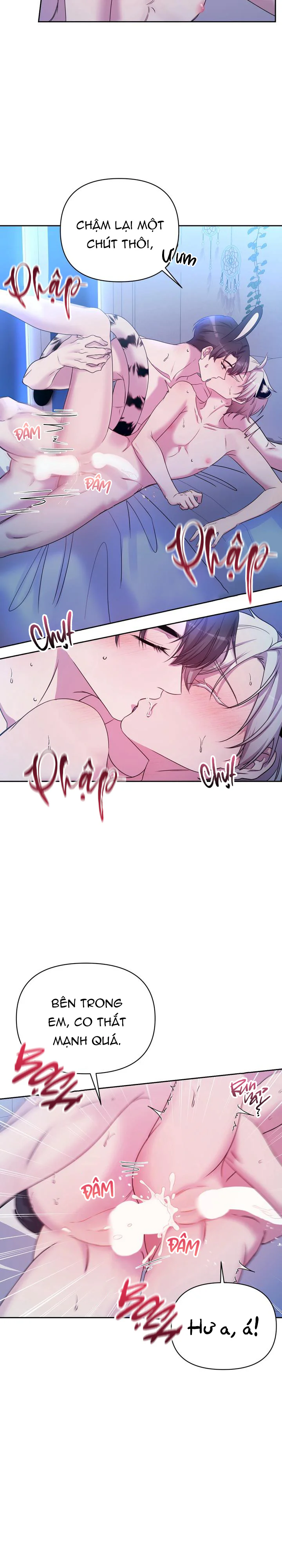 Đọc truyện Cắm Cờ Lên Đầu Hổ Núi Baekdu - Chapter 6 H+++++ - End