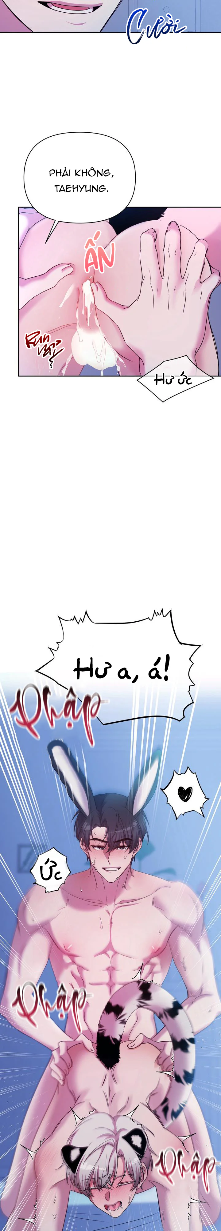 Đọc truyện Cắm Cờ Lên Đầu Hổ Núi Baekdu - Chapter 6