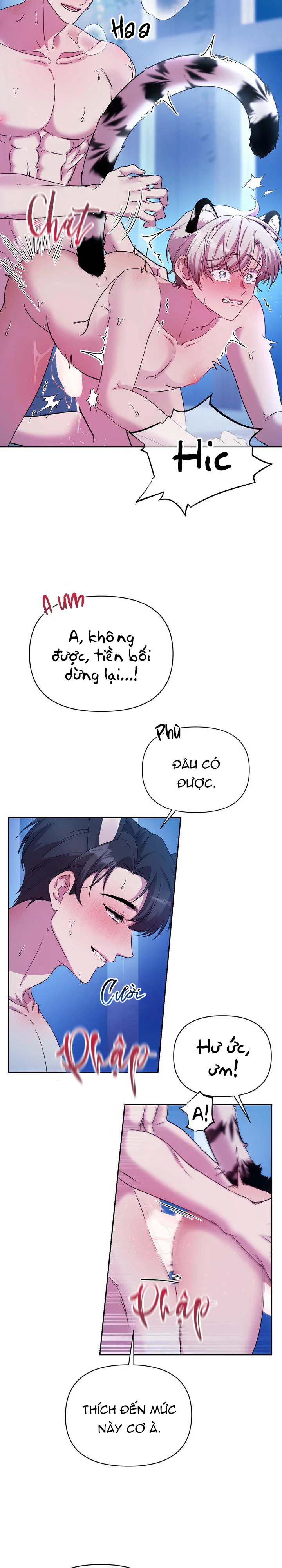 Đọc truyện Cắm Cờ Lên Đầu Hổ Núi Baekdu - Chapter 6