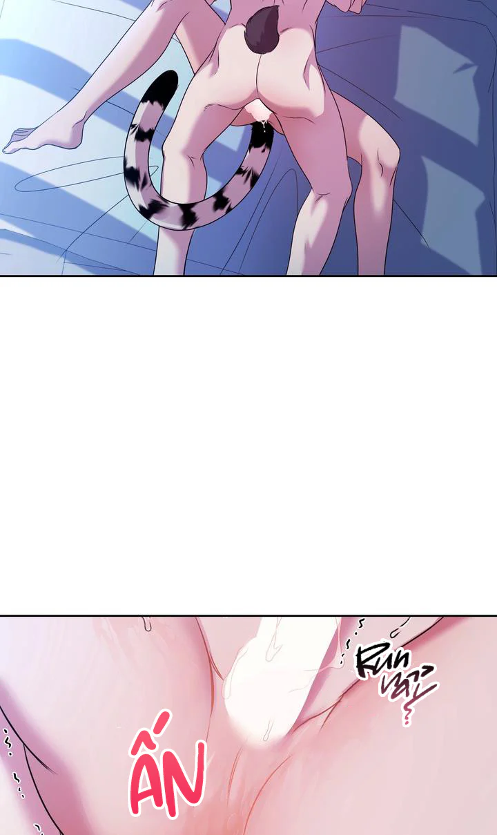 Đọc truyện Cắm Cờ Lên Đầu Hổ Núi Baekdu - Chapter 6