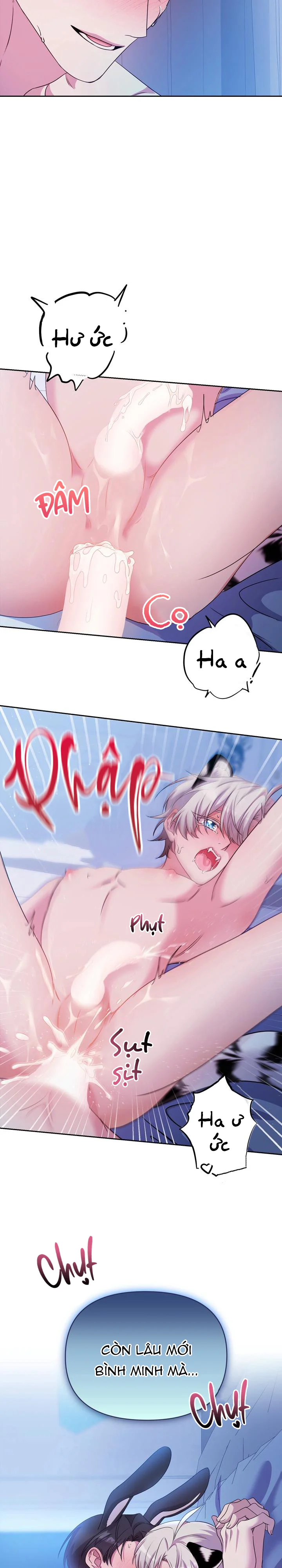Đọc truyện Cắm Cờ Lên Đầu Hổ Núi Baekdu - Chapter 6