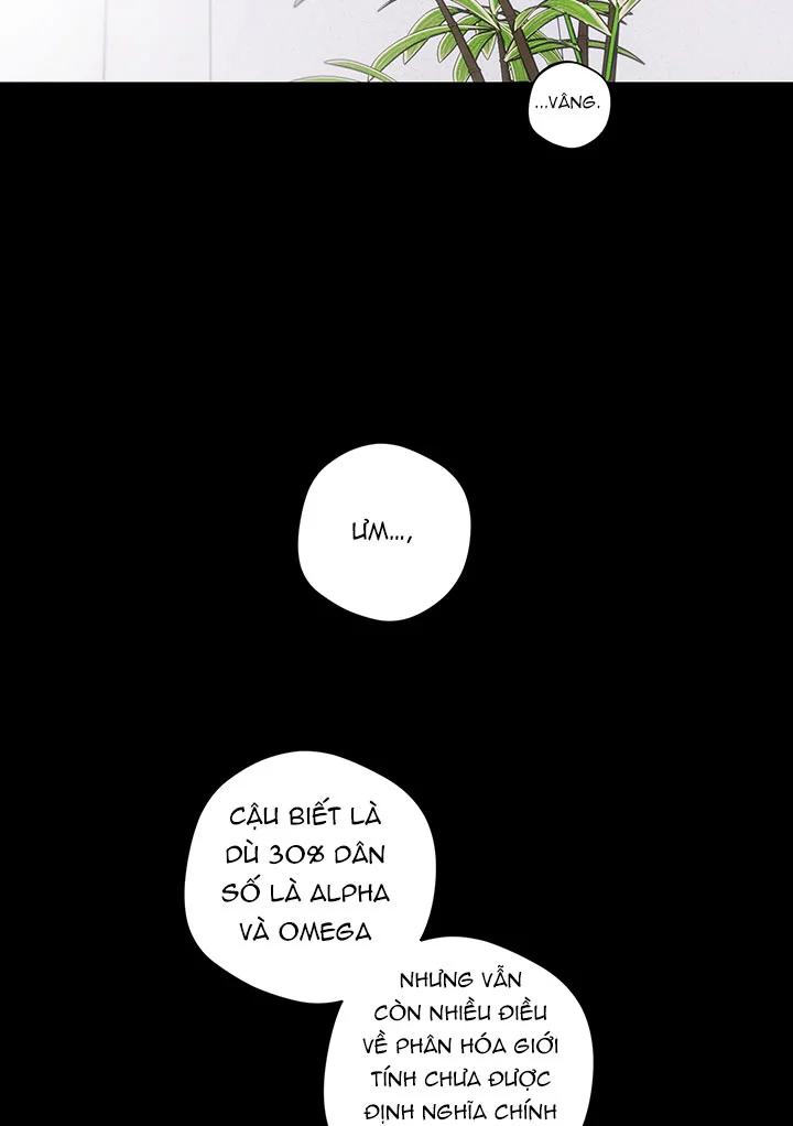 Đọc truyện Accidental baby - Chapter 6