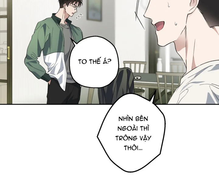 Đọc truyện (ABO) KẺ VÔ LẠI - Chapter 28