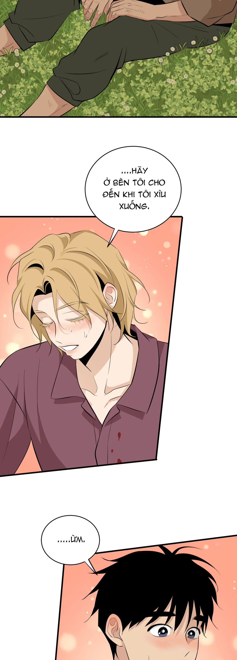 Đọc truyện ĐÓA HOA KHÔNG TÊN - Chapter 38